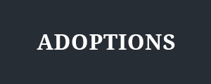 Adoptions